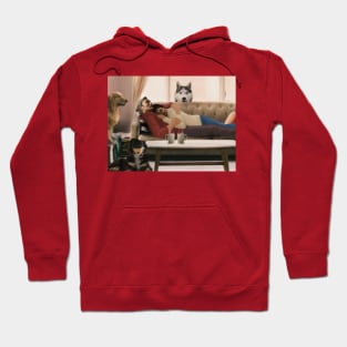 Morning Cuddles Hoodie